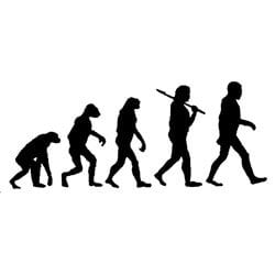 clipart evolution of man timeline